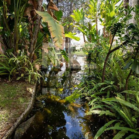 Lovely Apartment Marbella Center Garden Views 130 المظهر الخارجي الصورة